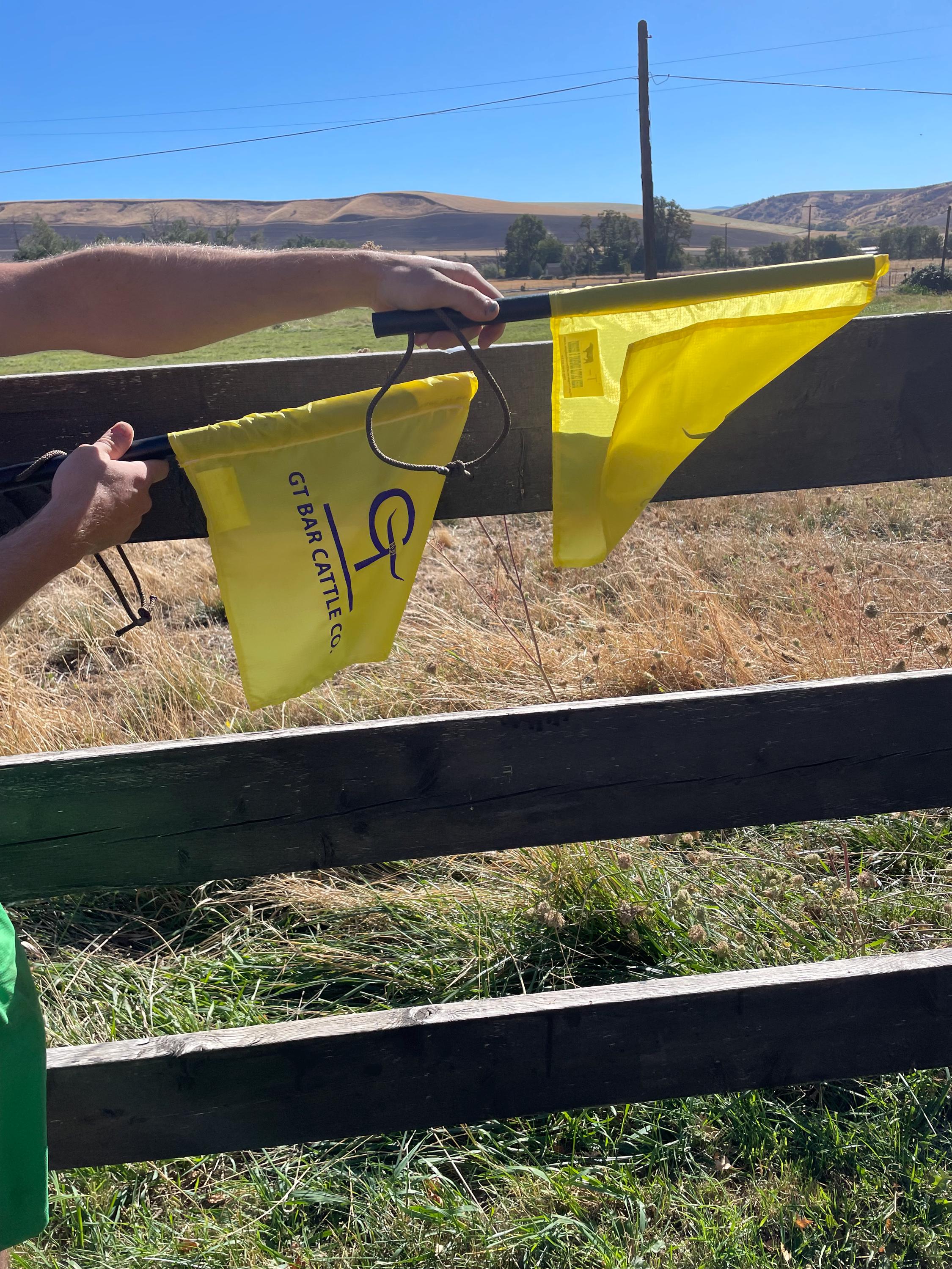 Custom Rodeo Judge Flag: Equine Show Competition (16" x 12")