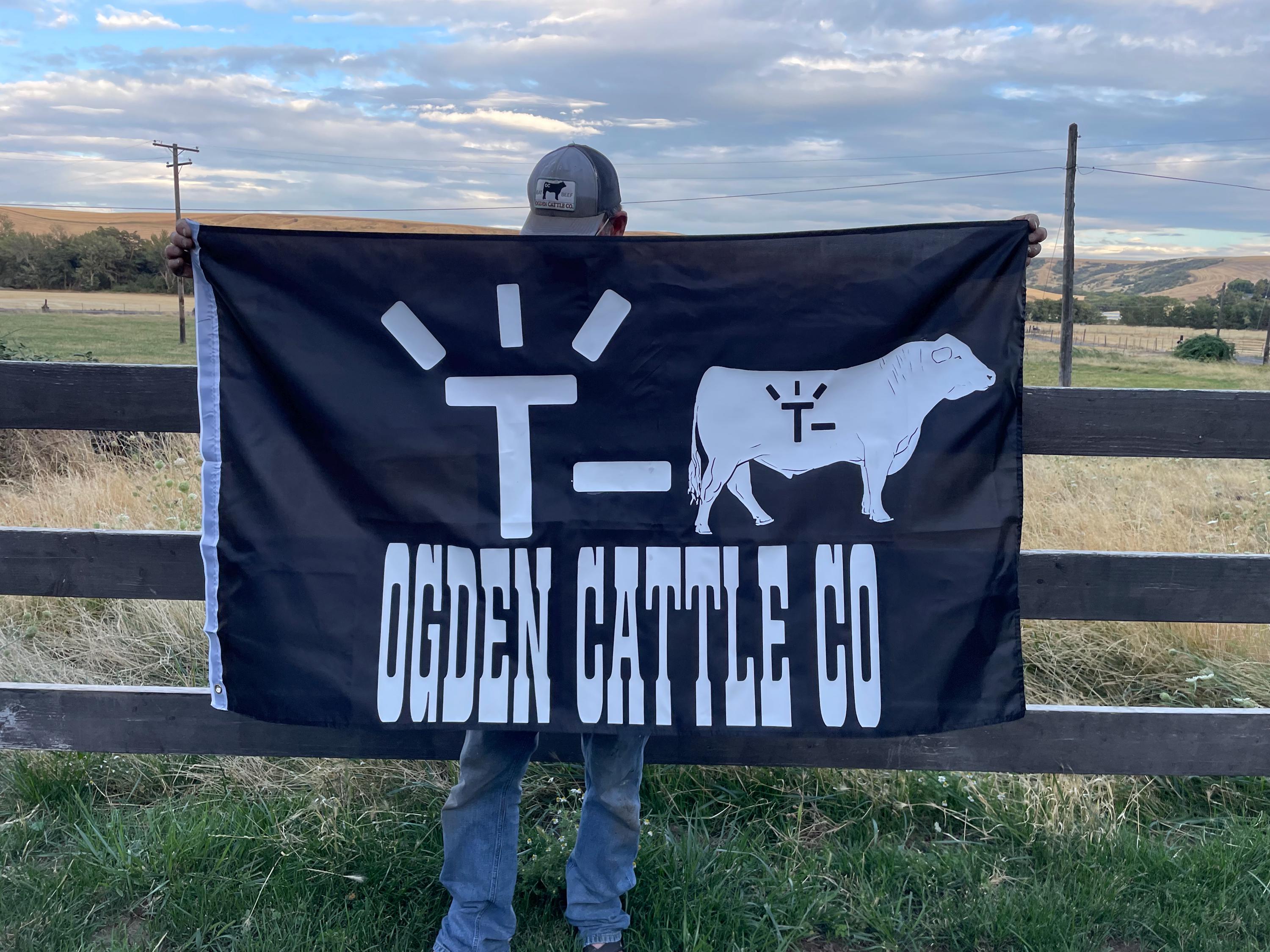 Custom Outdoor Flag,Custom Indoor Flag,Custom Parade Flag,Custom Event Flag,Custom Gift for Home,Custom Holiday Flag,Custom Football Game