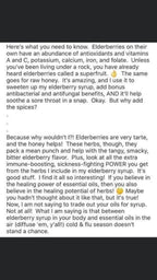Elderberry Syrup- 16 ounces