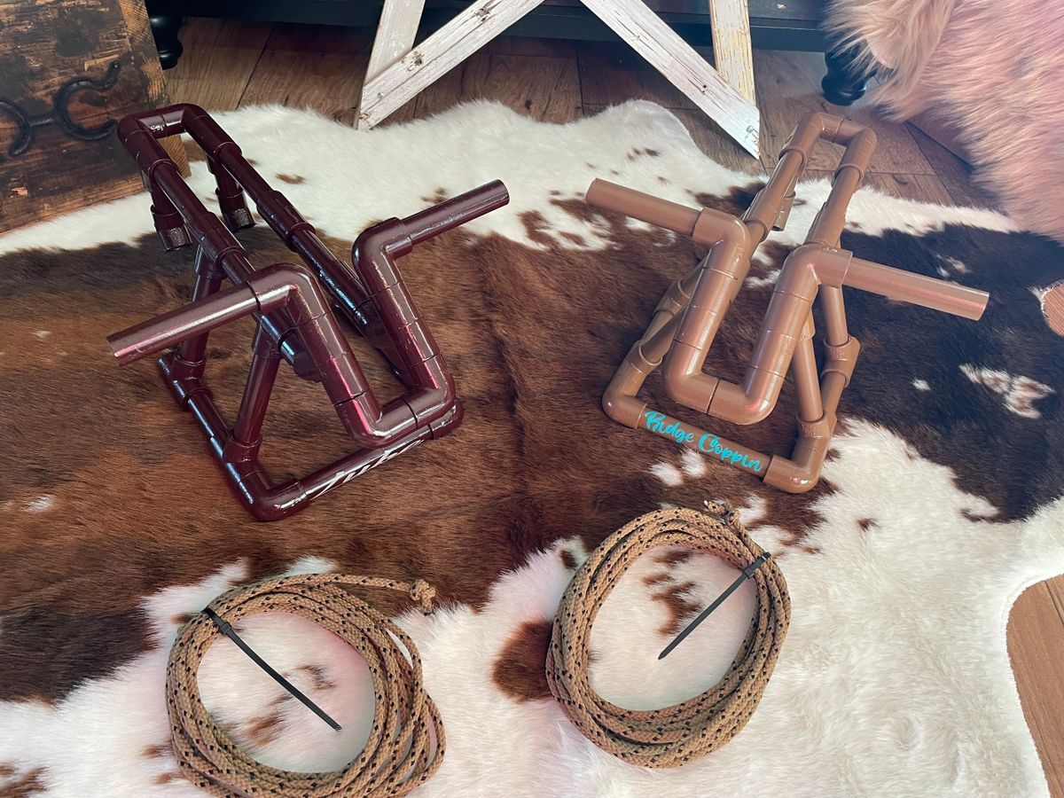 Toy rodeo bulls and lassos on rug.