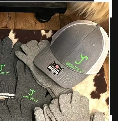 Gray cap and gloves with green logo.